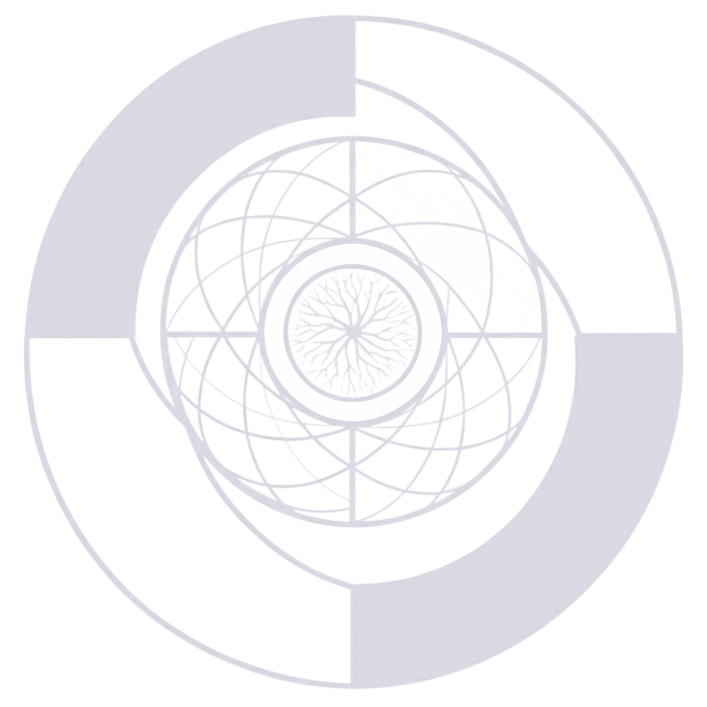 Noósfera Logo